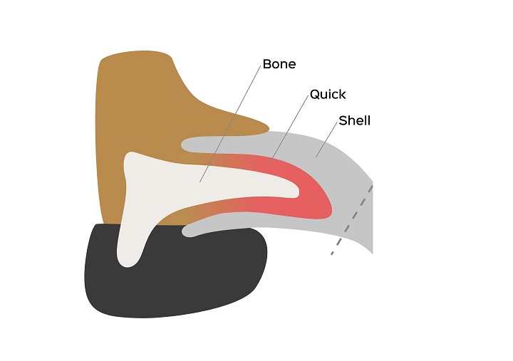 grinders dental chews